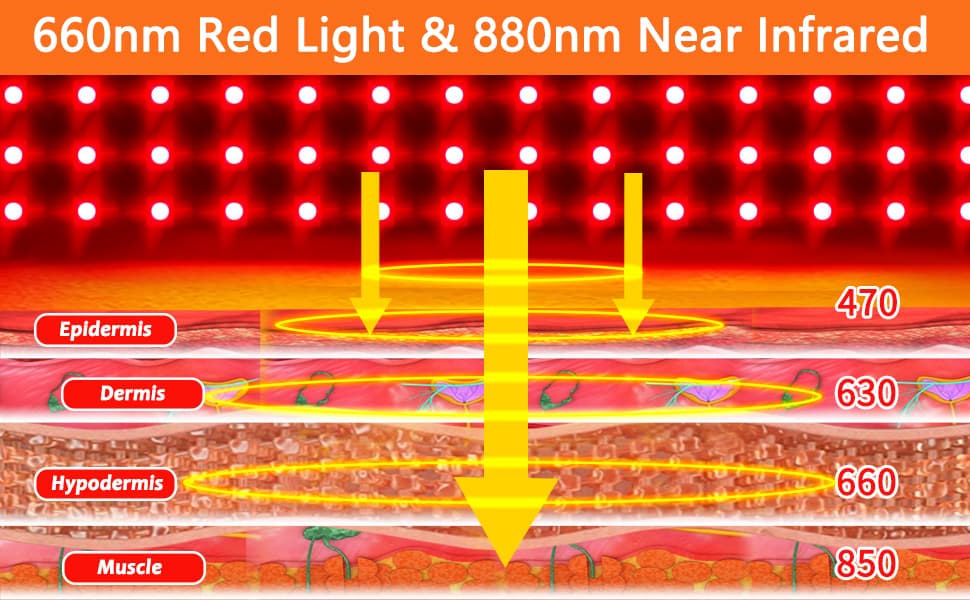  Infrared & Red Light Therapy 